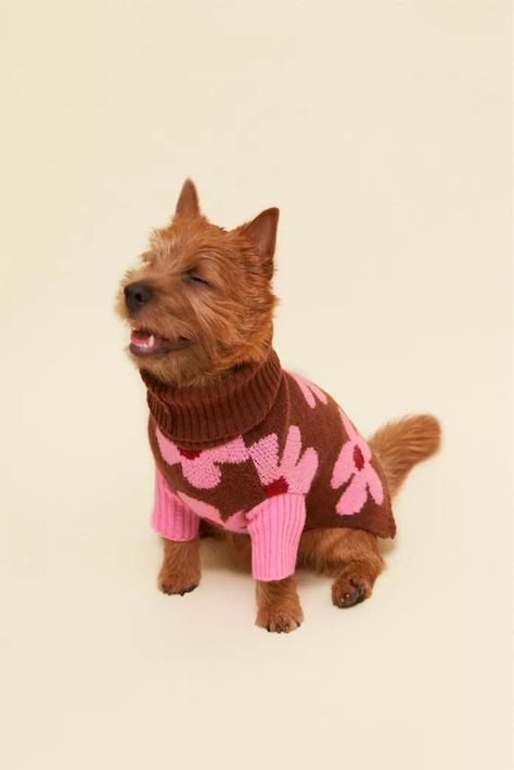 pink Karmic Energy, Being Too Nice, Be Kind To One Another, Too Nice, Dog Business, 강아지 그림, Apartment Items, Dog Branding, Pet Sweater