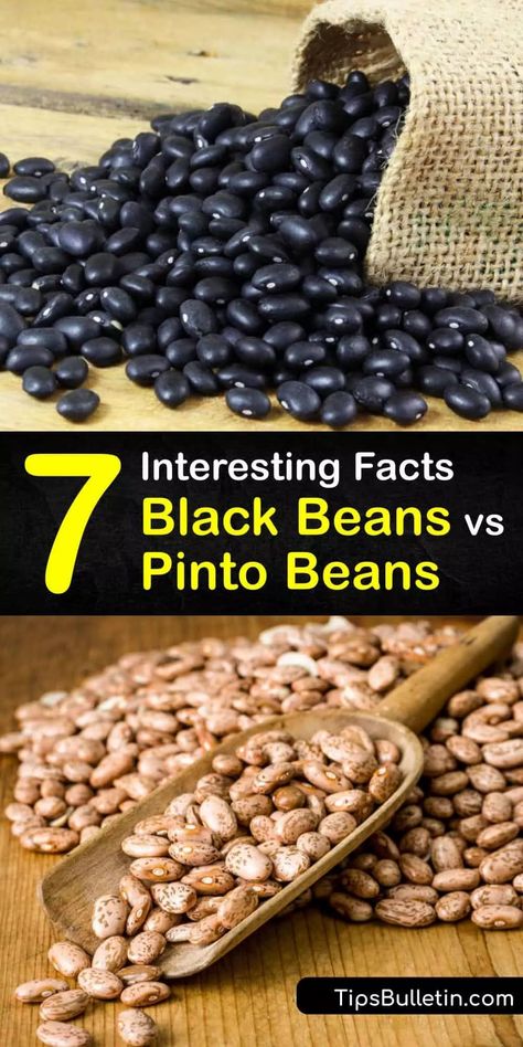 Bean Diet, Potatoes Growing, Beans Benefits, Benefits Of Vegetables, Bean Garden, Cholesterol Free Recipes, Pinto Bean Recipes, Easy Vegetables, Nutritional Yeast Recipes