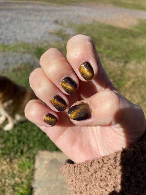 Tigers Eye Nails, Tiger Eye Nails, Eye Nail Art, Mens Nails, Eye Nails, Tigers Eye, Tiger Eye, Pretty Nails, Cute Nails