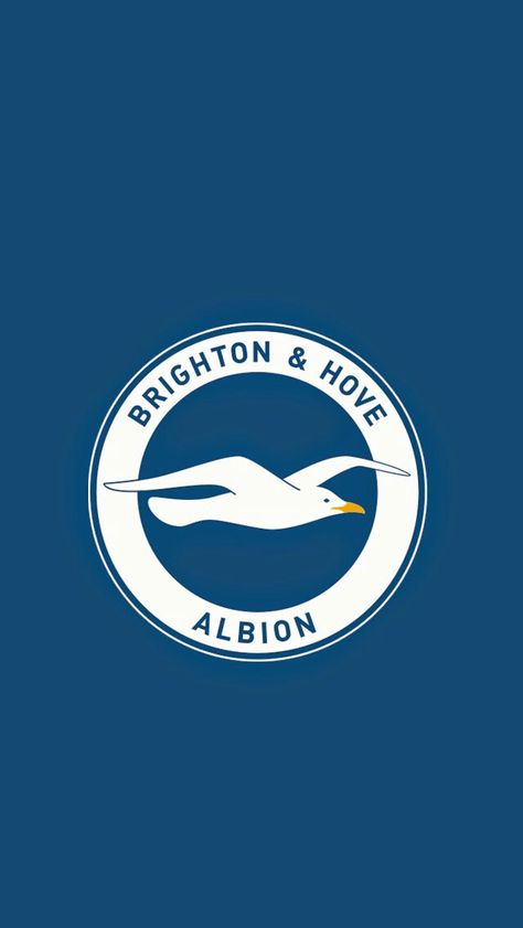 Brighton and Hove Albion wallpaper. Brighton Football Team, Brighton And Hove Albion Wallpaper, English Football Teams, Brighton And Hove Albion, Brighton Hove Albion, English Football League, Ipswich Town, Madrid Wallpaper, Brighton & Hove Albion