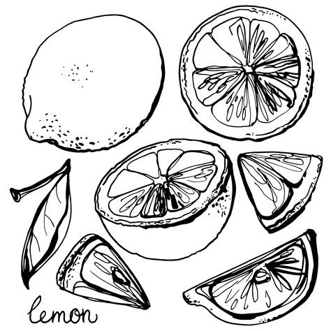 I like the bottom right wedge! Lemon Wedge Illustration, Lemon Wedge Drawing, Lemon Wedge Tattoo, Drawing Of Fruits, Tiny Tattoos For Women, Witch Stuff, Easy Doodles, Doodles Drawings, Continuous Line Drawing