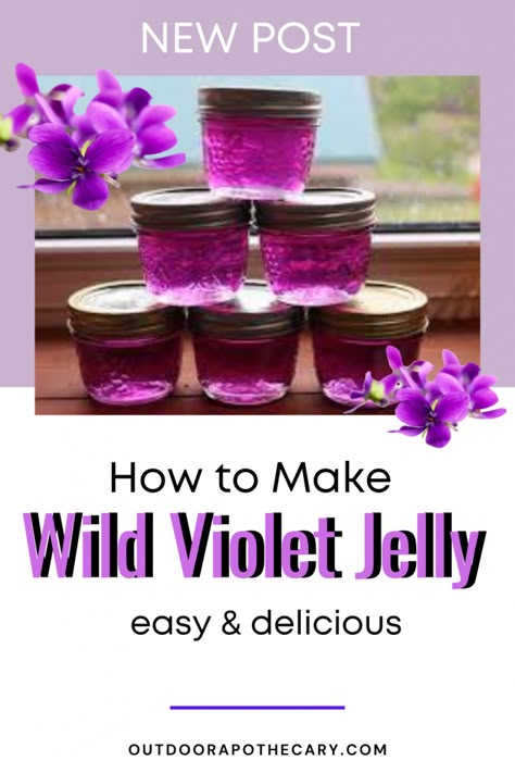 If you're lucky enough to have sweet violets in your yard, then you absolutely must try this delicious recipe for violet jelly. It's like springtime in a jar!Continue Reading Violet Jelly, Violet Tea, Edible Flowers Recipes, Foraging Recipes, Dandelion Jelly, Homemade Jelly, Foraged Food, Jam And Jelly, Sweet Violets