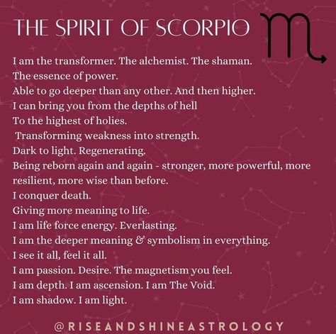 Scorpio Healing, Scorpio Astrology, Scorpio Goddess, Scorpio Magic, Scorpio Energy, Scorpio Transformation, Scorpio Animal Spirit, Sun In Scorpio Astrology, Scorpio Power