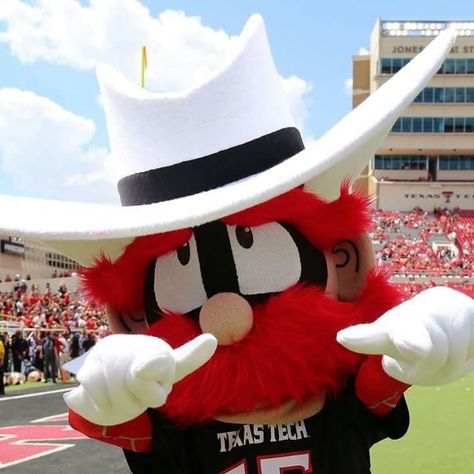 Raider Red Red Raider, Texas Tech Red Raiders, Red Raiders, Texas Tech, Project Manager, Texas, Red