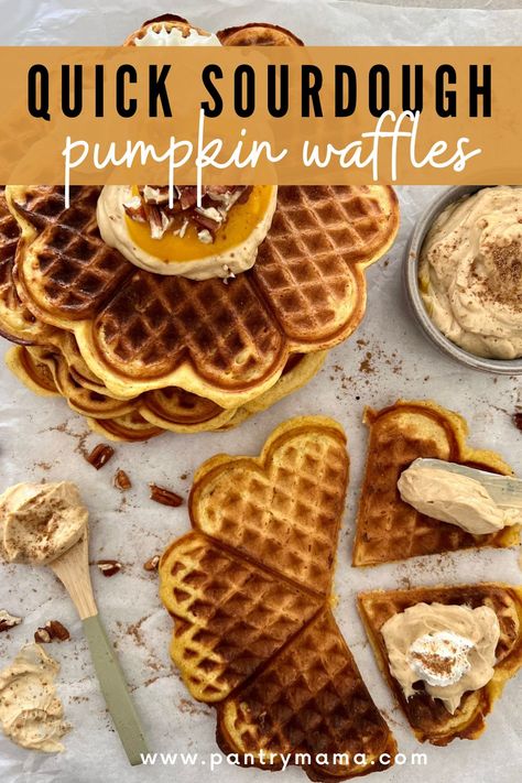 Sourdough Discard Pumpkin Waffles, Sourdough Pumpkin Waffles, Discard Pumpkin Pancakes, Pumpkin Sourdough Waffles, Vegan Sourdough Waffles, Pumpkin Sourdough Pancakes, Sourdough Protein Waffles, Sourdough Discard Pumpkin Pancakes, Sourdough Pumpkin Pancakes