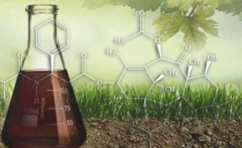 The Real Story about Humic Acid | EndSickness.org Getting More Energy, Humic Acid, Cell Line, Fulvic Acid, Agriculture Education, Soil Health, Soil Improvement, Beneficial Bacteria, Improve Digestion