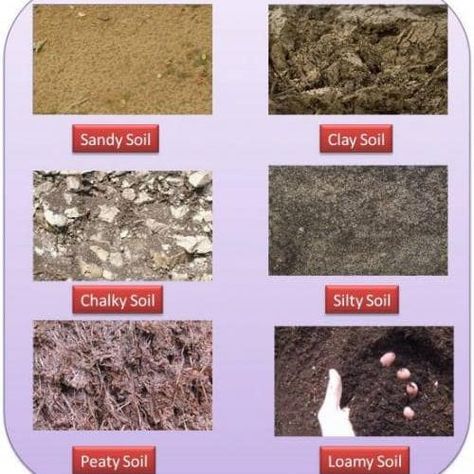 Soil Classification, Loamy Soil, Soil Types, Compost Soil, Garden Compost, Organic Soil, Soil Ph, Garden Help, Sandy Soil