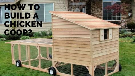 10 Free Portable Chicken Coop Plans - Its Overflowing Chicken Coop On Wheels, Small Chicken Coop, Chicken Coop Plans Free, Chicken Coop Blueprints, Build A Chicken Coop, Chicken Coop Pallets, Mobile Chicken Coop, Small Chicken Coops, Easy Chicken Coop