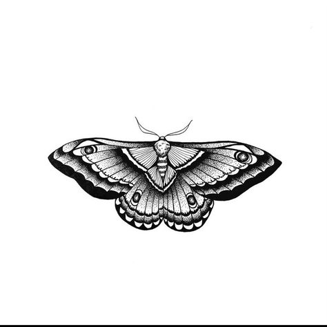 Night Moth Tattoo, American Traditional Moth, Traditional Moth Tattoo, Moth Tattoo Design, Small Chest Tattoos, Grunge Tattoo, New Tattoo Designs, Insect Tattoo, Moth Tattoo