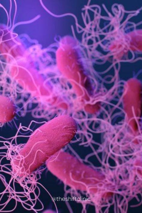 Streptococcus Pneumoniae, Health Images, Sinus Infection, Bacterial Infection, Things Under A Microscope, Medical Illustration, Microbiology, Public Health, Nervous System