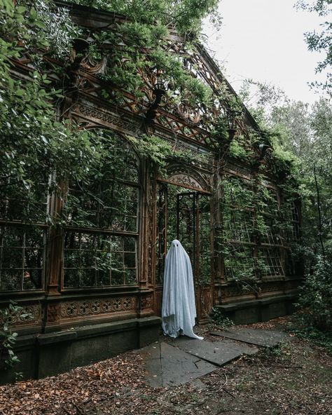 Witch Greenhouse, Ghost Horror, Halloween Post, Green Pictures, Radio City Music Hall, Gothic Aesthetic, Fantasy Setting, Halloween Vintage, Fun At Work