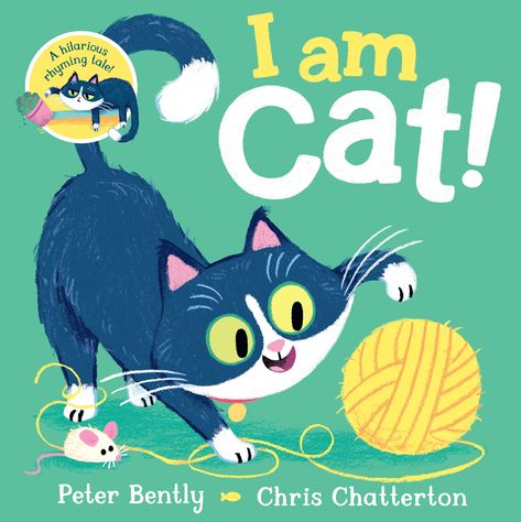 Chris Chatterton, Cat Activities, Mr Tumnus, Rhyming Pictures, Dinosaur Cards, Cat Activity, Boy Fishing, Picture Books Illustration, House Cat