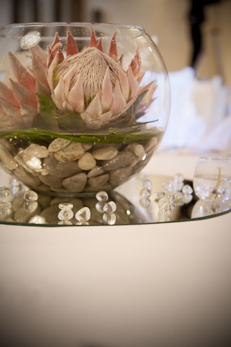 Alethea Rheeder IT Productions & Dithakga Events alethea@dithakgaevents.com Protea Wedding Table Decor, Protea Centerpiece, Round Wedding Tables, Protea Wedding, Protea Art, Protea Bouquet, Protea Flower, King Protea, Tafel Decor