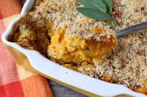 Pumpkin-Mac-and-Cheese-12 Snickers Caramel Apple Salad, Traditional Stuffing Recipe, Butternut Squash Gratin, Cauliflower Bake, Menu Recipe, Mashed Sweet Potato, Pumpkin Mac And Cheese, Growing Sweet Potatoes, Thanksgiving Recipes Side Dishes