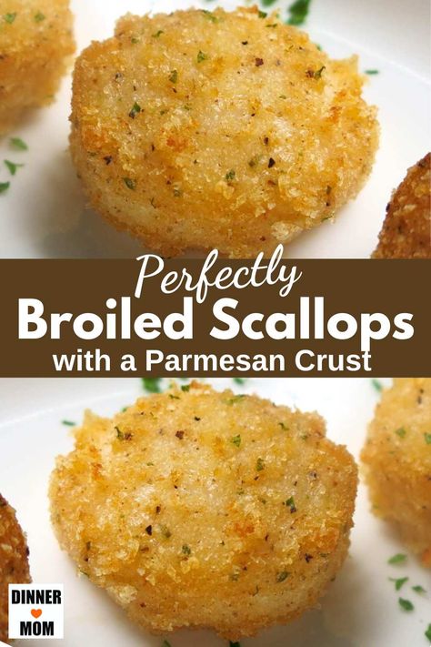 Easy Broiled Scallops! Follow the step-by-step process we used at our make ahead kitchen store for perfectly cooked Parmesan crusted scallops every single time. #scallops #broiledscallops Our Place Wonder Oven Recipes, Scallops In The Oven, Baked Scallop Recipes, Easy Baked Scallops Recipe, Breaded Scallops, Broiled Scallops Recipe, Scallop Recipes Baked, Broiled Scallops, Wonder Oven