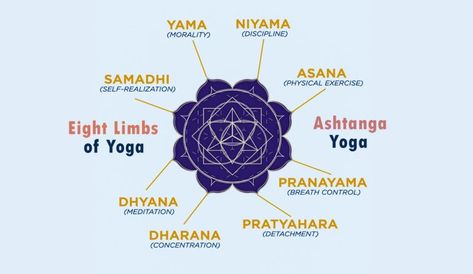 Limbs Of Yoga, Eight Limbs Of Yoga, 8 Limbs Of Yoga, Restorative Yoga Poses, Yoga Sutras, Restorative Yoga, Ashtanga Yoga, Yoga Is, Yoga Postures