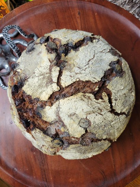 No-knead Dutch Oven Bread w/ Cocoa Powder & Chocolate Chips Chocolate Chip Dutch Oven Bread, Chocolate Sourdough Bread, Cocoa Bread, Cocoa Powder Chocolate, Chocolate Milk Powder, Chocolate Bread Recipe, Oven Bread, Dutch Oven Bread, Dutch Cocoa