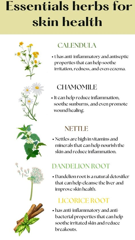 Nourish your skin from the inside out with these powerful herbs! Soothe irritation, fight inflammation, and promote a healthy glow. Herbs Good For Skin, Antifungal Herbs For Skin, Herbs That Are Good For Skin, Herbs For Face Care, Best Herbs For Skin, Diy Herbal Skin Care, Herbs For Skin Health, Herbs For Skincare, Herbal Skin Care Recipes