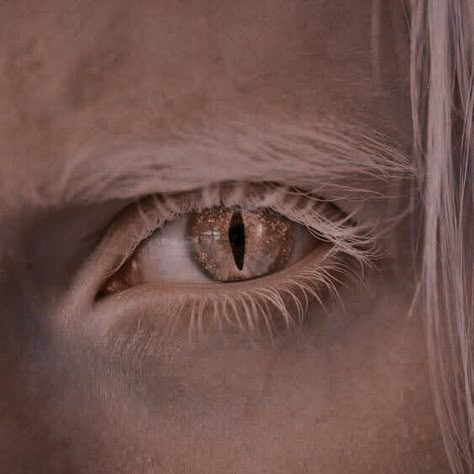 Werewolf Aesthetic, The Witcher Geralt, Medieval Aesthetic, Empire Of Storms, Aesthetic Eyes, Fantasy Aesthetic, Fantasy Makeup, High Fantasy, Throne Of Glass