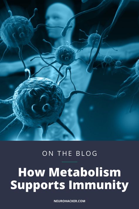 Citric Acid Cycle, Electron Transport Chain, Immune Cells, Gene Expression, Increased Energy, Fitness Advice, Lower Blood Sugar, Immune Response, Good Health Tips