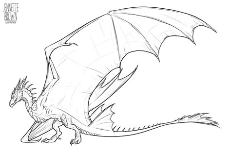 Dragon Lineart, Dragon Poses, Dragon Base, Walpapers Cute, Wings Of Fire Dragons, Dragon Sketch, Mythical Animal, Dragon Pictures, Fantasy Creatures Art