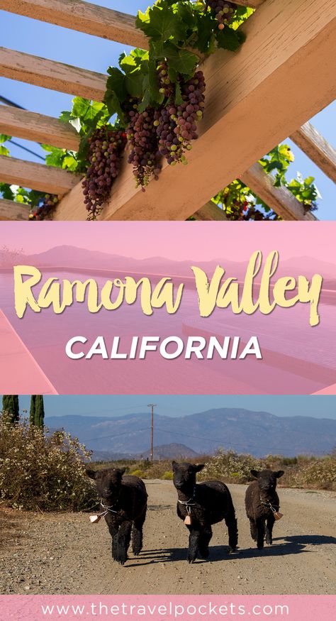 Ramona is only a short 30 miles from San Diego airport. It just may be the next Nappa Valley. Traveling California, San Diego Airport, Nappa Valley, Ramona California, Napa Valley Trip, California San Diego, Usa Travel Guide, Pacific Coast Highway, Usa Travel Destinations