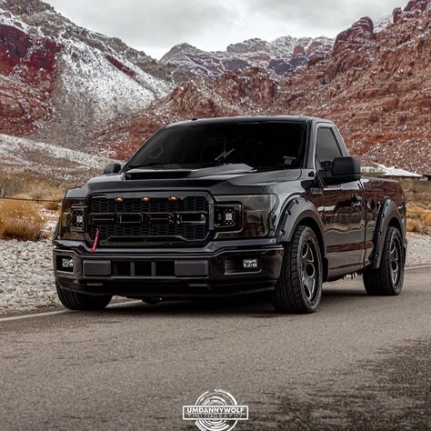 Ford F150 Custom, Custom Ford Trucks, Big Ford Trucks, American Pickup Trucks, Single Cab Trucks, Ford Trucks F150, Vintage Pickup, Dropped Trucks, Vintage Pickup Trucks