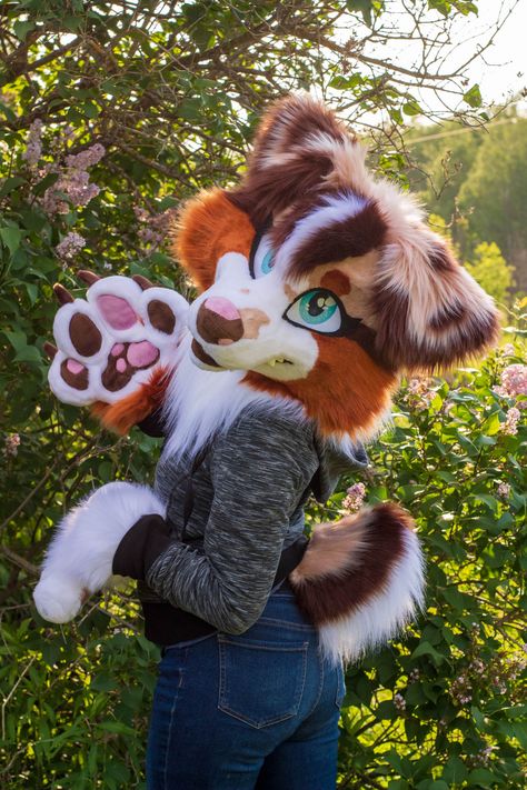 Pretty Fursuits, Fur Suits, Fursuit Head, Cat Mask, Australian Shepherd, Adult Costumes, Not Mine, Cute Art, The Future