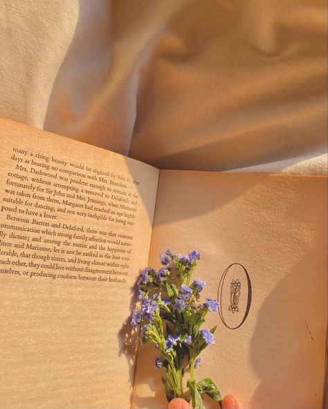 Sense And Sensibility Aesthetic, Regency Aesthetic, Most Ardently, Sense And Sensibility, Writing Romance, Jane Austin, Scrapbook Book, Academia Aesthetic, Light Academia