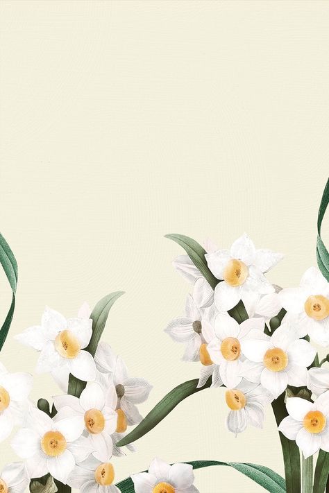 Easter border with daffodil flowers | free image by rawpixel.com / Kappy Daffodil Border, Easter Mobile, Daffodil Images, Watercolor Wallpaper Iphone, Wallpaper Background Design, Lilac Background, Floral Cards Design, Narcissus Flower, Paper Background Design