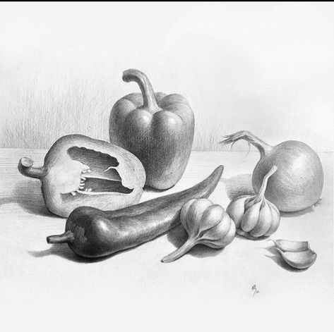 Still Life Pencil Shading, Easy Realistic Drawings, Pencil Sketches Landscape, Vegetable Drawing, Optical Illusion Drawing, Shading Drawing, Pencil Drawings For Beginners, Life Drawing Reference, Realistic Pencil Drawings