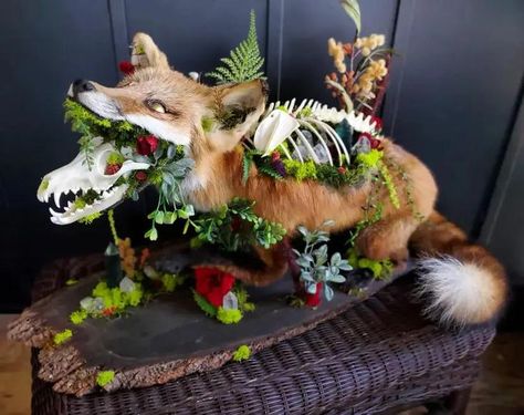 Fox Skull, Animal Taxidermy, Animal Skeletons, Taxidermy Art, Vulture Culture, Bone Art, Animal Bones, Mythical Creatures Art, Ap Art