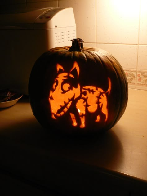 Frankenweenie Pumpkin Carving, Pump Carving Ideas, Scene Pumpkin Carving, Wybie Pumpkin Carving, Pumpkin Carving Halloween Movie, Coraline Pumpkin, Coraline Pumpkin Carving, Pumpkin Carving Classic, Pumpkin Carving Ideas