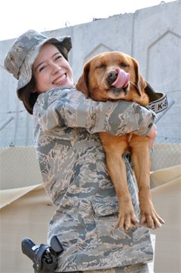 Former Marine military working dog finds new life in the AF > U.S. Air Force > Article Display Samantha Baker, Marine Military, Dog Finds, Fox Red Labrador, Red Labrador, Detection Dogs, Dog Hero, Military Working Dogs, Security Forces