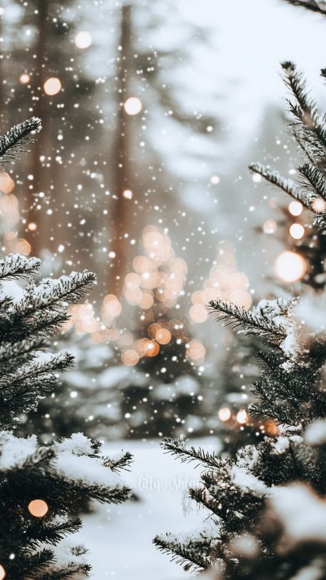 New Christmas Forest Phone Wallpaper Collection – Free Download! Christmas Snowy Background, Snowy Christmas Aesthetic Wallpaper, Winter Wallpaper Landscape, Snow Falling Wallpaper, New Year Background Aesthetic, Snowy Trees Wallpaper, Winter Cozy Aesthetic Wallpaper, Background Christmas Aesthetic, Snow Christmas Wallpaper