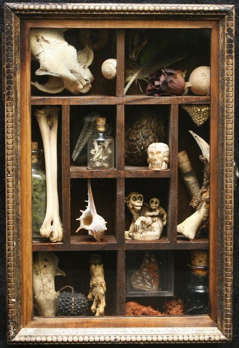 Cabinet Of Curiosities Diy, Rustic Family Room, Letterpress Drawer, Dog Puzzle Toys, Repurposed Art, Small Collectibles, Printers Tray, Dog Puzzles, Found Object Art