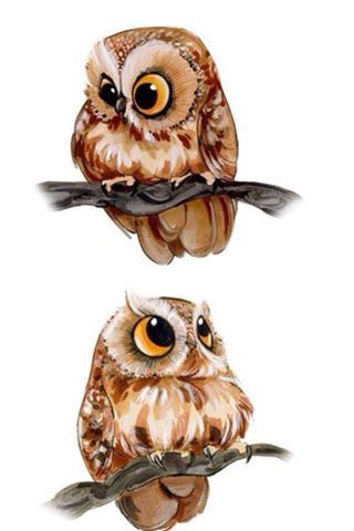 Two Humorous drawings of Owls. Owl Artwork, Owl Illustration, Art Mignon, Owls Drawing, Owl Crafts, Owl Pictures, Beautiful Owl, Art Et Illustration, Baby Owls