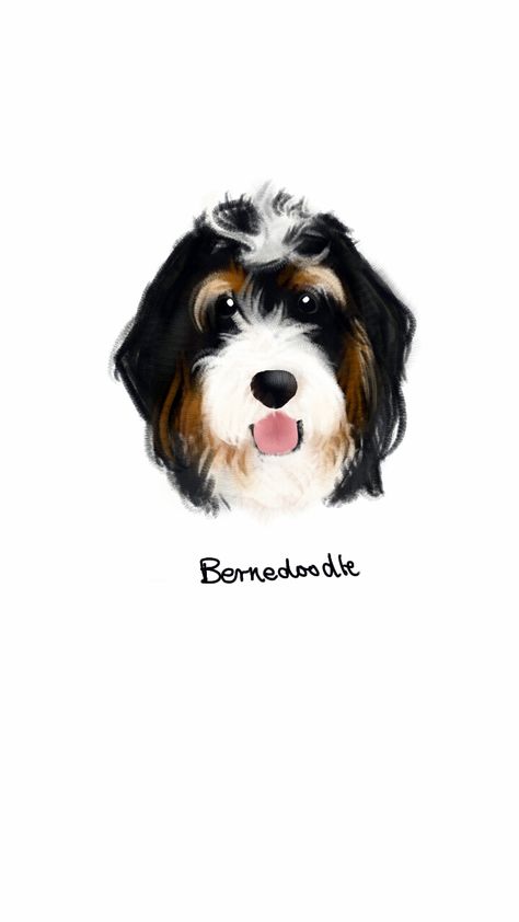 Digital dog drawing - Bernedoodle a handsome mix Bernedoodle Cartoon, Watercolor Bernedoodle, Bernedoodle Illustration, Bernedoodle Drawing, Bernedoodle Art, Berne Doodle, Bernie Doodle, Pad Wallpaper, Paint Animals