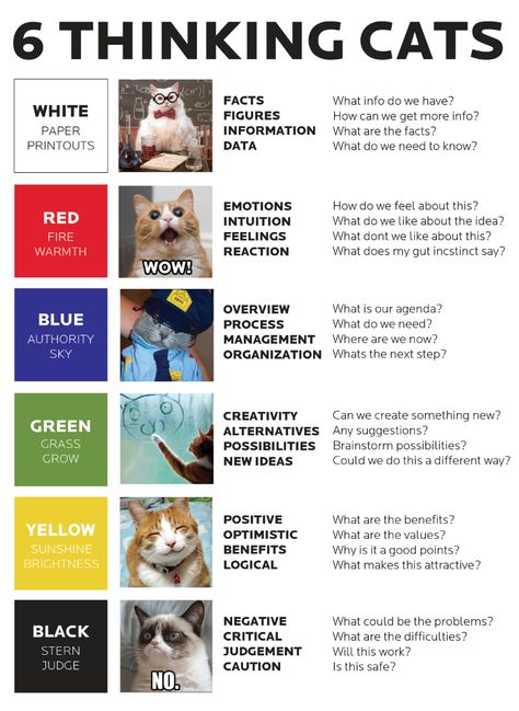 6 Thinking Cats! remix of the 6 thinking hats by Edward de Bono 6 Thinking Hats, Six Thinking Hats, Visible Thinking, Thinking Strategies, Social Innovation, Blooms Taxonomy, Systems Thinking, 21st Century Learning, Higher Order Thinking