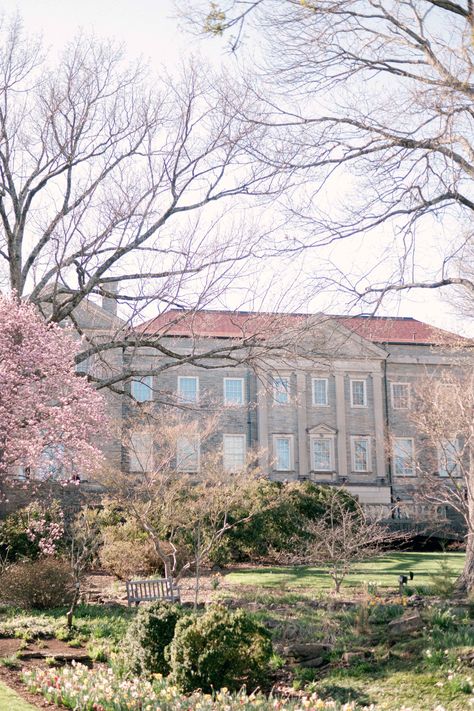 Cheekwood Gardens is truly a favorite place for me in Nashville, offering a sanctuary of natural beauty and artistic inspiration. Whether you're seeking a romantic setting for your wedding or a charming backdrop for your engagement photos, Cheekwood promises an unforgettable experience amidst the splendor of spring. Estate Gardens, Nashville Wedding Venues, Cincinnati Wedding, Estate Garden, Spring Beauty, Nashville Wedding, Artist Life, Artistic Inspiration, Nashville Tn