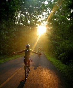 Sunshine. Cycling. Freedom. Cycling Inspiration, No Hands, Cycling Motivation, Cycling Tips, Riding A Bike, I Want To Ride My Bicycle, Cycling Art, Bike Lovers, Road Cycling