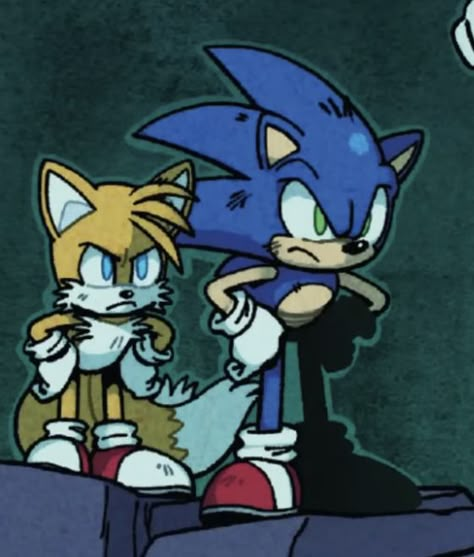 Sonic Y Tails, Sonic Idw, Sonic And Tails, Sonic Tails, Sonic Prime, Shadow Sonic, Sonic Funny, Sonic Franchise, Blue Hedgehog