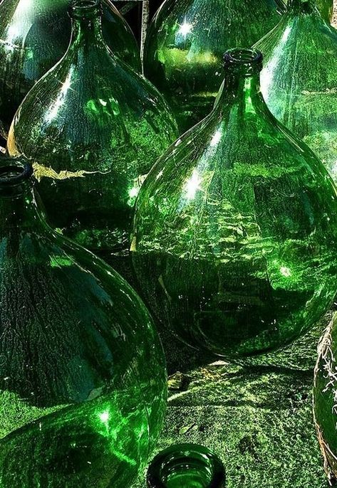 Green Glass Bottles ..... Yellow Couch, Everything Green, I Love Green, Green Glass Bottles, The Color Green, Slytherin Aesthetic, Green Stuff, Green Things, All Things Green