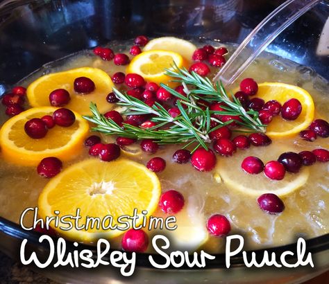 As far back as I can remember, my dad's family has had a tradition of making Whiskey Sour Punch at our annual Christmas gathering ... Whiskey Sour Pitcher Recipe, Whiskey Christmas Drinks, Christmas Whiskey Sour, Punch Cocktail Recipes, Whiskey Sour Punch, Whiskey Punch, Holiday Cocktails Christmas, Whiskey Party, Sour Punch