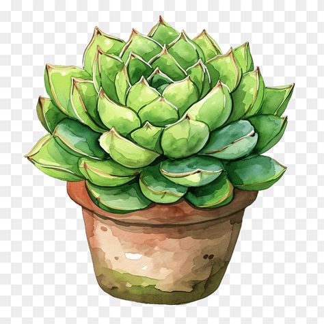 Watercolor Green Succulent Plant Clipart Plant Clipart, Monster Clipart, Sunflower Clipart, Cartoon Chicken, Watercolor Succulents, Watercolor Green, Cute Cartoon Characters, Green Hats, Cute Dinosaur