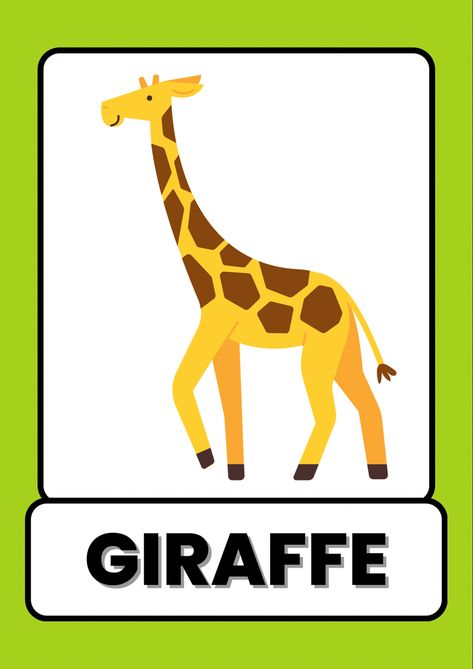 animals flash card, animals flash cards, farm animals flash card, animals flash cards pdf, wild animals flashcards, zoo animal flashcards, animals flashcards pdf, animals flashcards printable, animals flashcards free printable, flashcards of animals, flash cards or flashcards Zoo Animals Flashcards, Wild Animals Flashcards, Animals Flashcards For Kids, French Language Learning Kids, Kids Learning Alphabet, Giraffe Pictures, Different Types Of Animals, Animals Jungle, Animal Flashcards