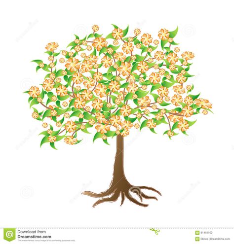 Flowering apricot tree by Ellione on #dreamstime #vector #illustration Apricot Tree Illustration, Fruit Tree Illustration, Ceramic Candles, Apricot Tree, Fruit Tree, Orange Fruit, Tree Illustration, Ceramic Candle, Fruit Trees