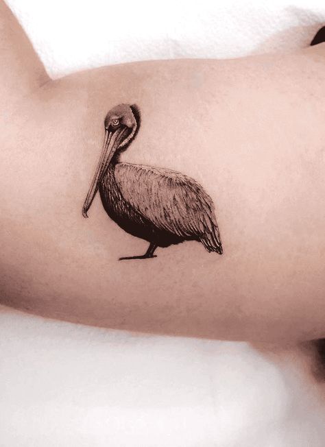 Pelican Tattoo Design Images (Pelican Ink Design Ideas) Florida Wildlife Tattoo, Pelican Tattoo For Women, Pelican Tattoo, Meaningful Tattoo Ideas, Tattoo Trash, Themed Tattoos, Pelican Art, Tattoo Catalog, Jellyfish Tattoo