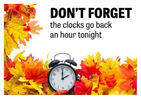 Fall Back Time Change, Fall Back Time, Mission Quotes, Clocks Go Back, Time Change, Clocks Back, Spring Forward, Daylight Savings, Daylight Savings Time