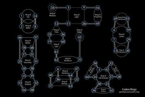 The Codon Rings Rings of Revelation from the Gene Keys Activation Sequence Gene Keys, Supreme Design, Gene Keys, Human Genome, Human Dna, Human Design System, What Is Science, Sense Of Life, Human Relationship